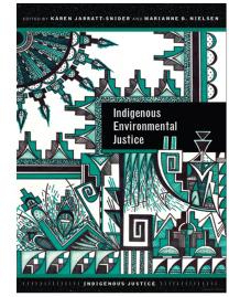 Leadership Activism And Environmental Justice Indigenous